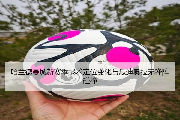 ha-lan-de-man-cheng-xin-sai-ji-zhan-shu-ding-wei-bian-hua-yu-gua-di-ao-la-wu-feng-zhen-peng-zhuang-3-153.jpg