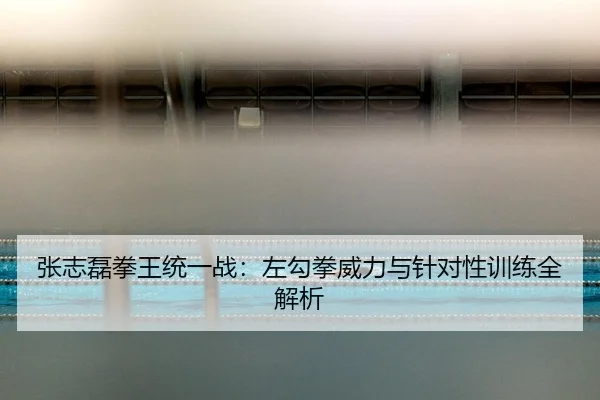 zhang-zhi-lei-quan-wang-tong-yi-zhan-zuo-gou-quan-wei-li-yu-zhen-dui-xing-xun-lian-quan-jie-xi-2-109.jpg